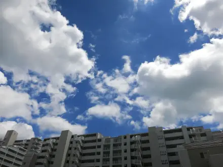 Japan summer survival tips